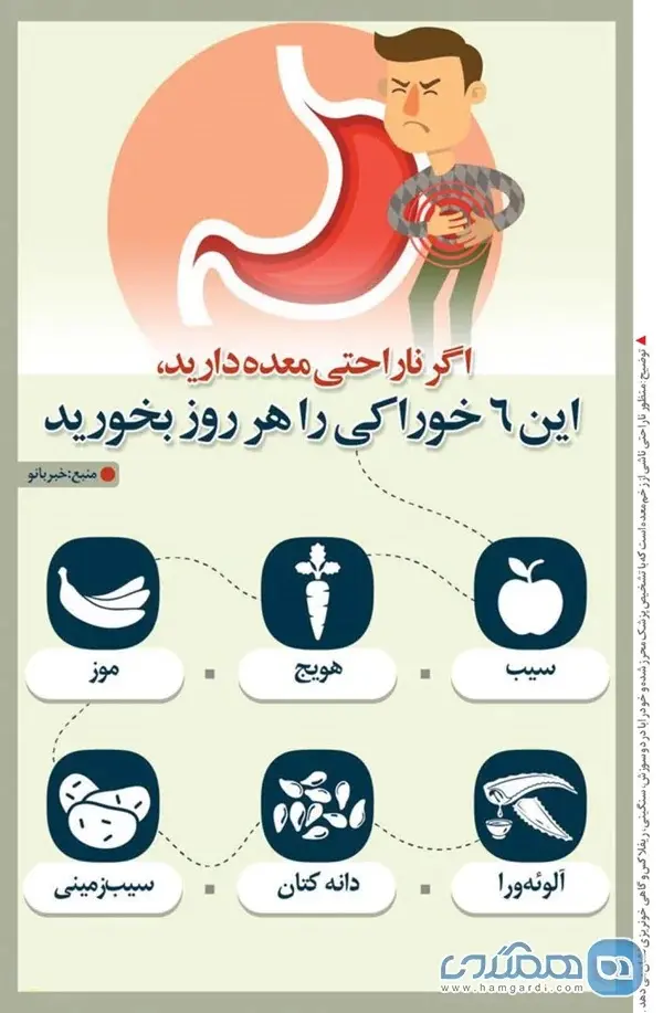خوراکی+اینفو۳