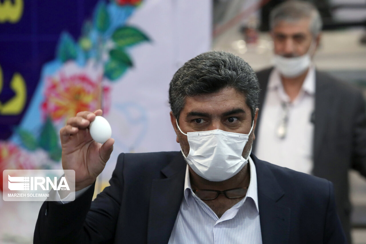 کاندیدای-انتخابات