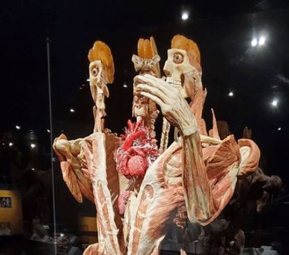 نمایشگاه-اجساد-3