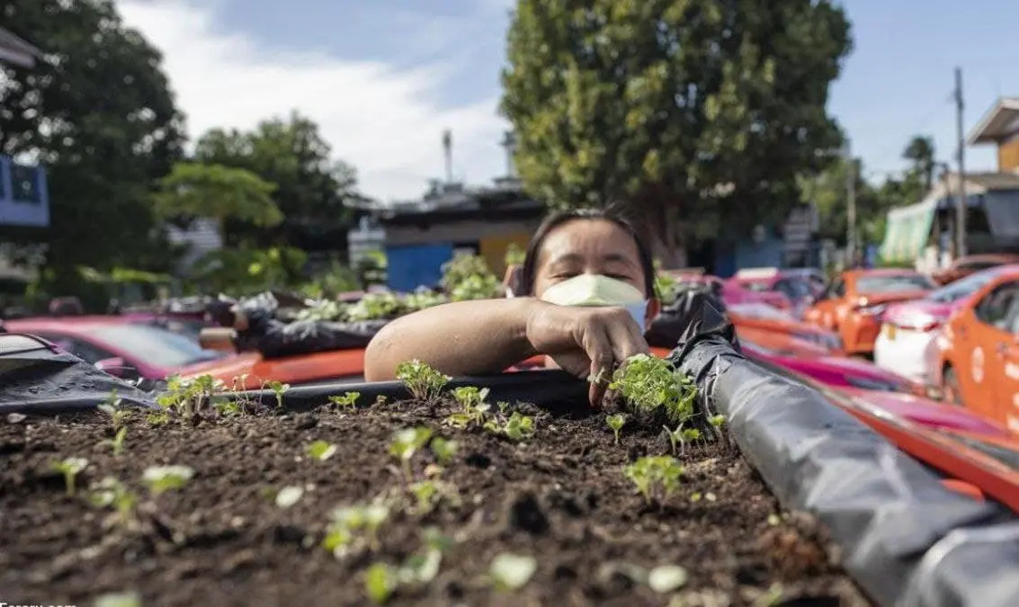 تاکسی-باغچه۱
