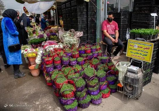 بازار-گل (24)