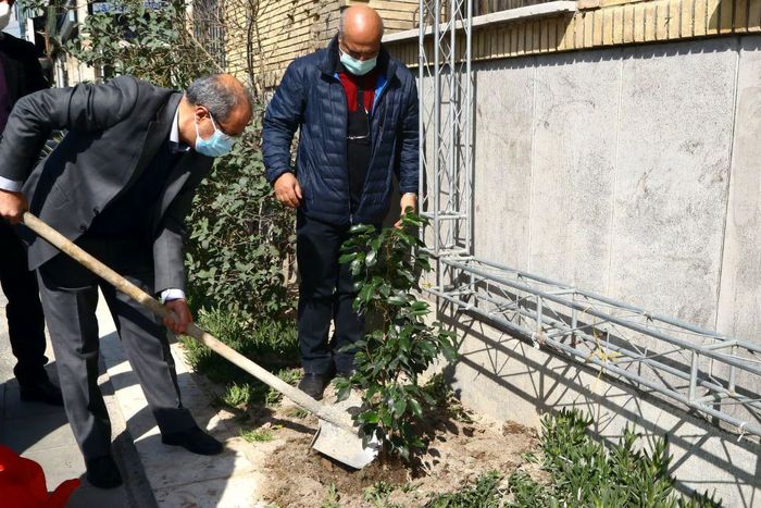 کاشت نهال توسط رئیس هیات عامل ایمیدرو در روز درختکاری