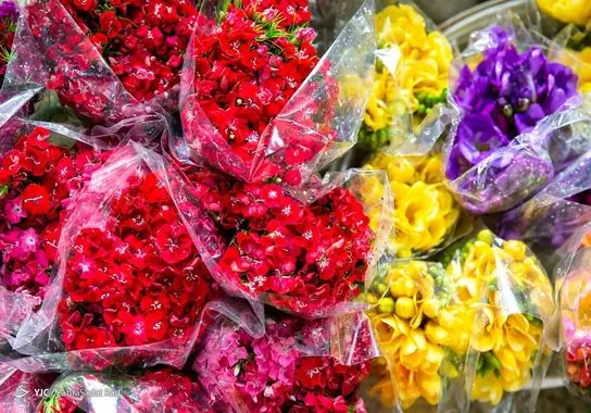 بازار-گل (15)