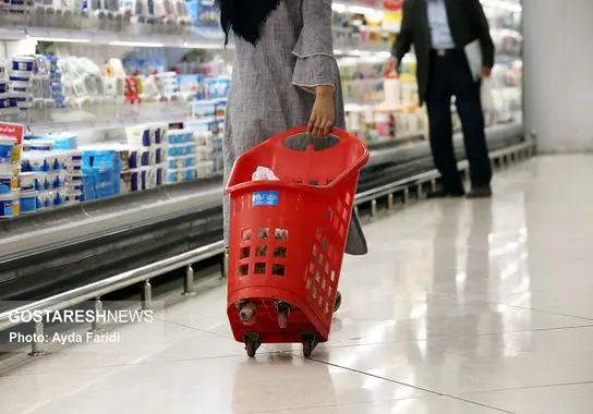 فریدی-فروشگاه (9)