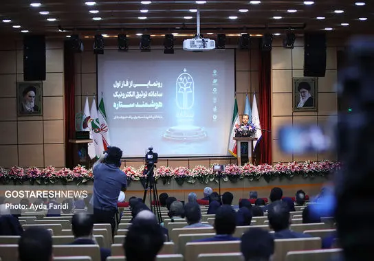 فریدی-بورس (6)