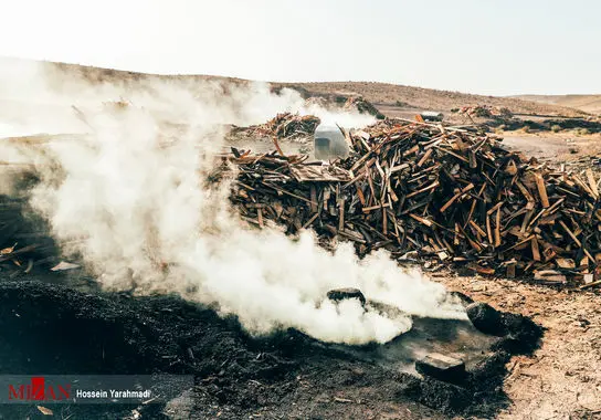 تولید-سنتی-زغال (9)