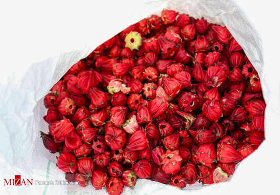 چای-ترش (35)