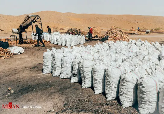 تولید-سنتی-زغال (4)