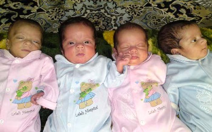 خبر خوش برای خانواده های دارای فرزند چند قلو 