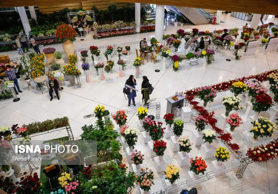 نمایشگاه-بین المللی (3)