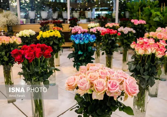 نمایشگاه-بین المللی (10)