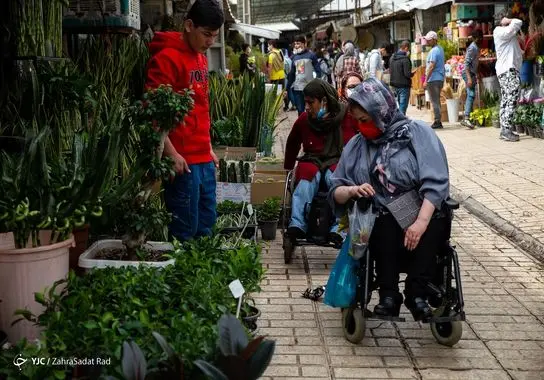 بازار-گل (16)