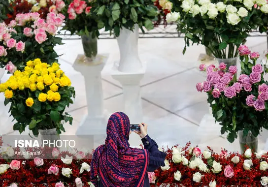 نمایشگاه-بین المللی (5)