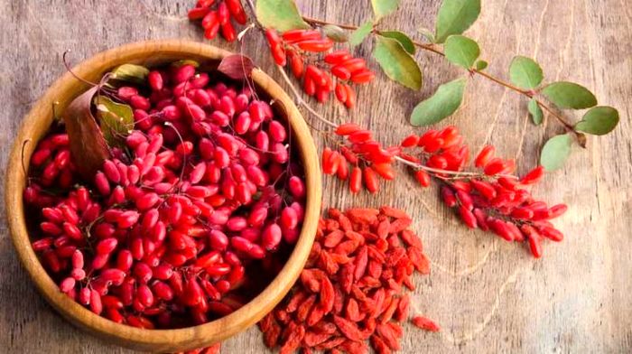 زرشک در بازار چند ؟ ( ۱۳ آذر )