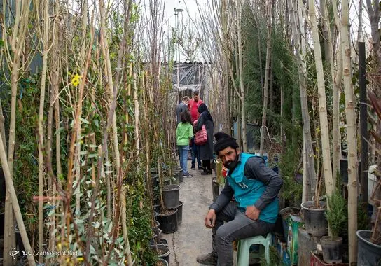 بازار-گل (11)