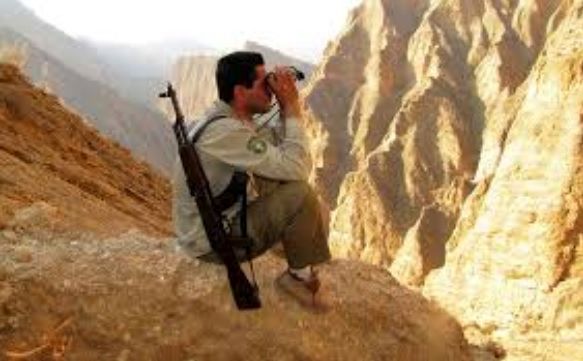 جزئیات قتل دو محیط‌بان در زنجان + عکس