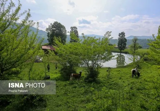 گردشگری-ایرانگردی (24)
