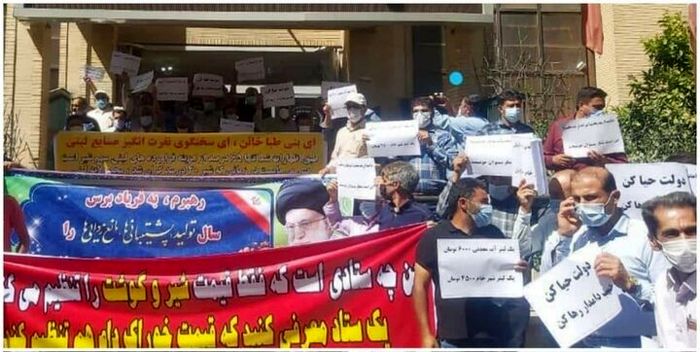 دامداران معترض به خیابان ها آمدند! + عکس