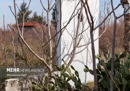 ایرانگردی-گردشگری-نوروز (42)