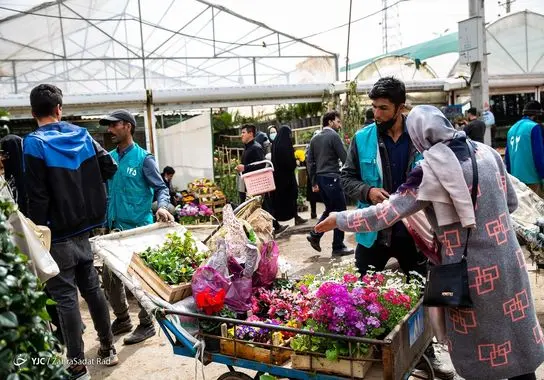 بازار-گل (20)